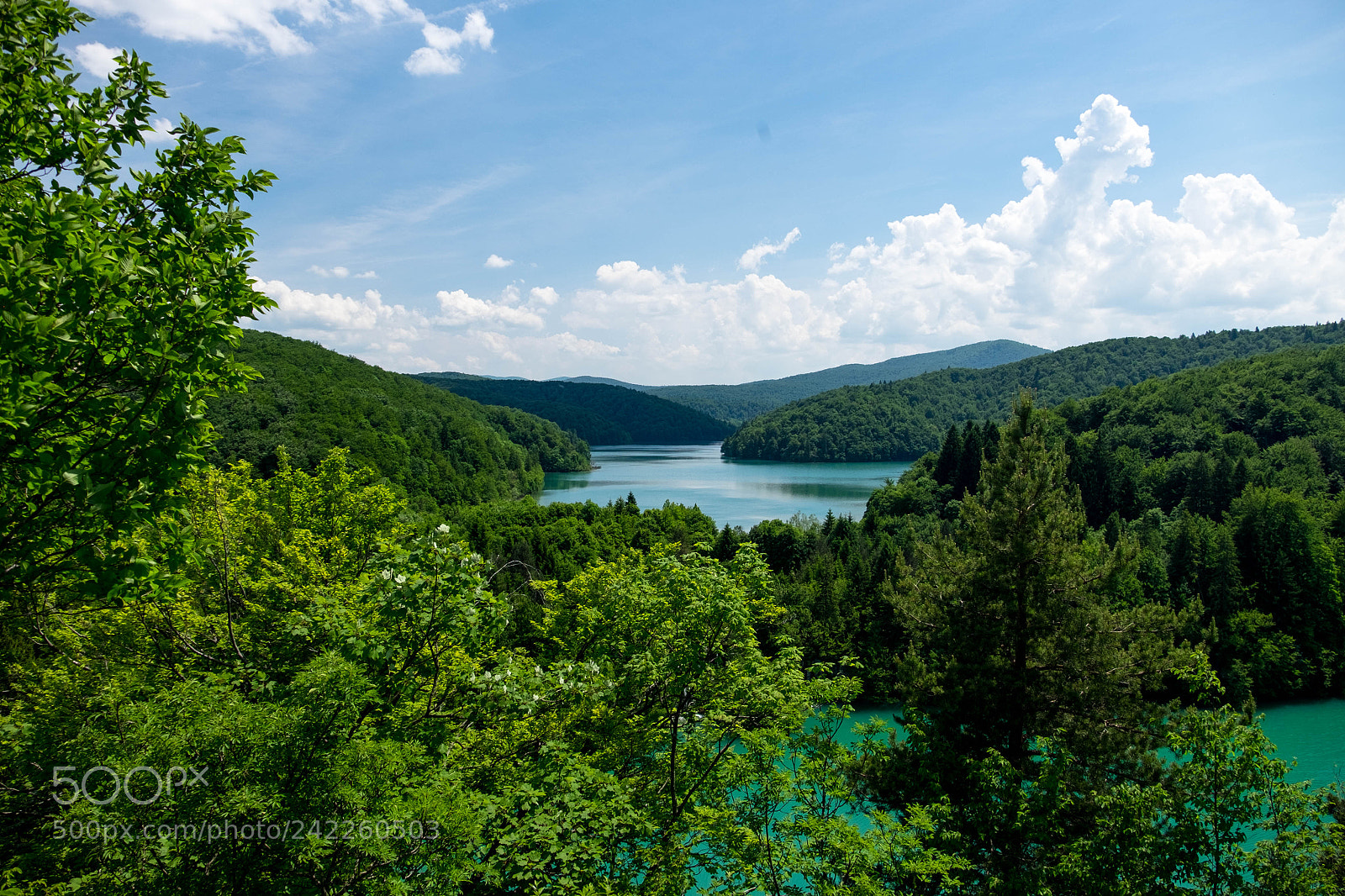 Fujifilm X-T1 sample photo. Untitled photography