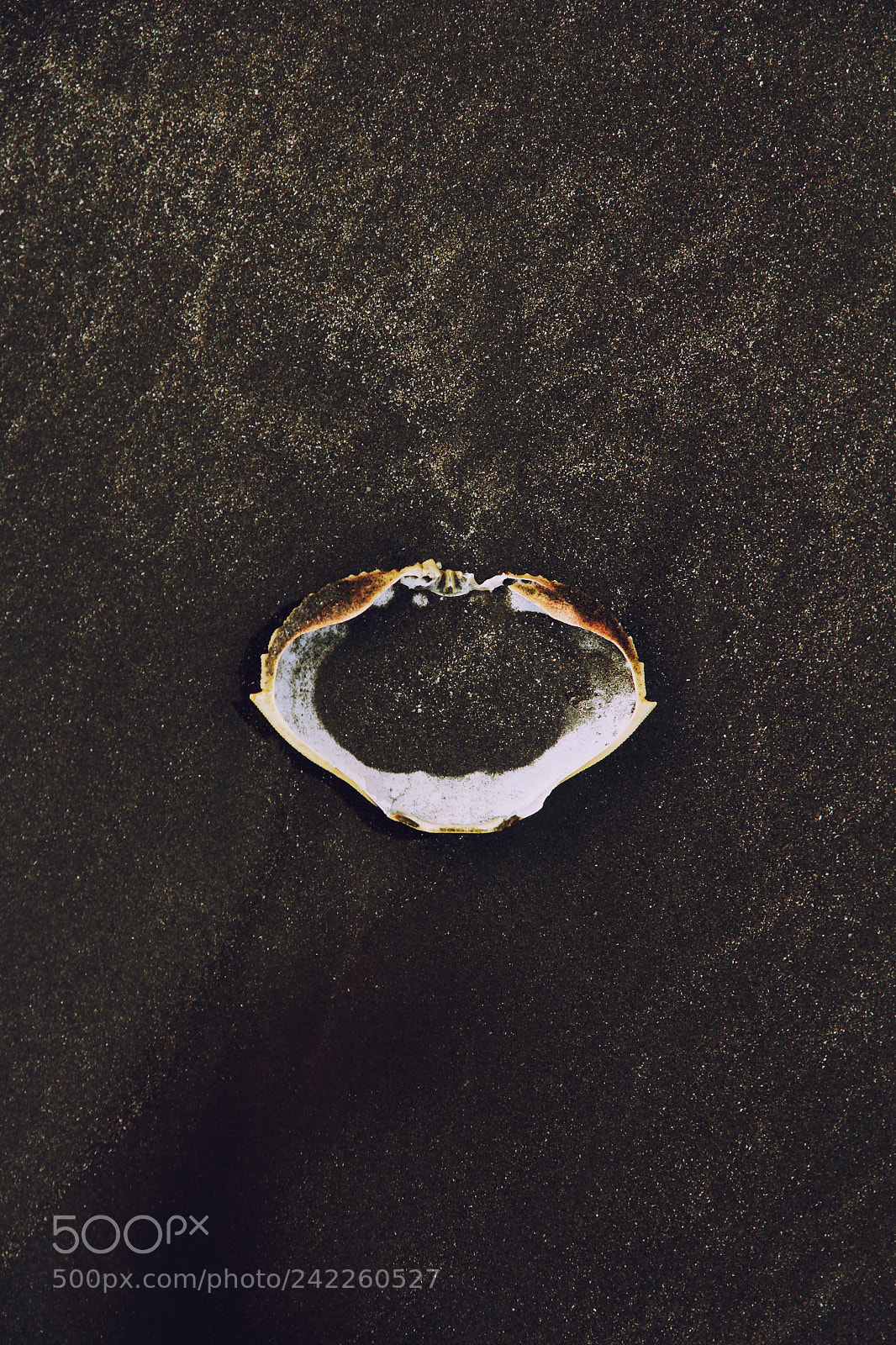 Canon EOS 60D sample photo. Black sand photography