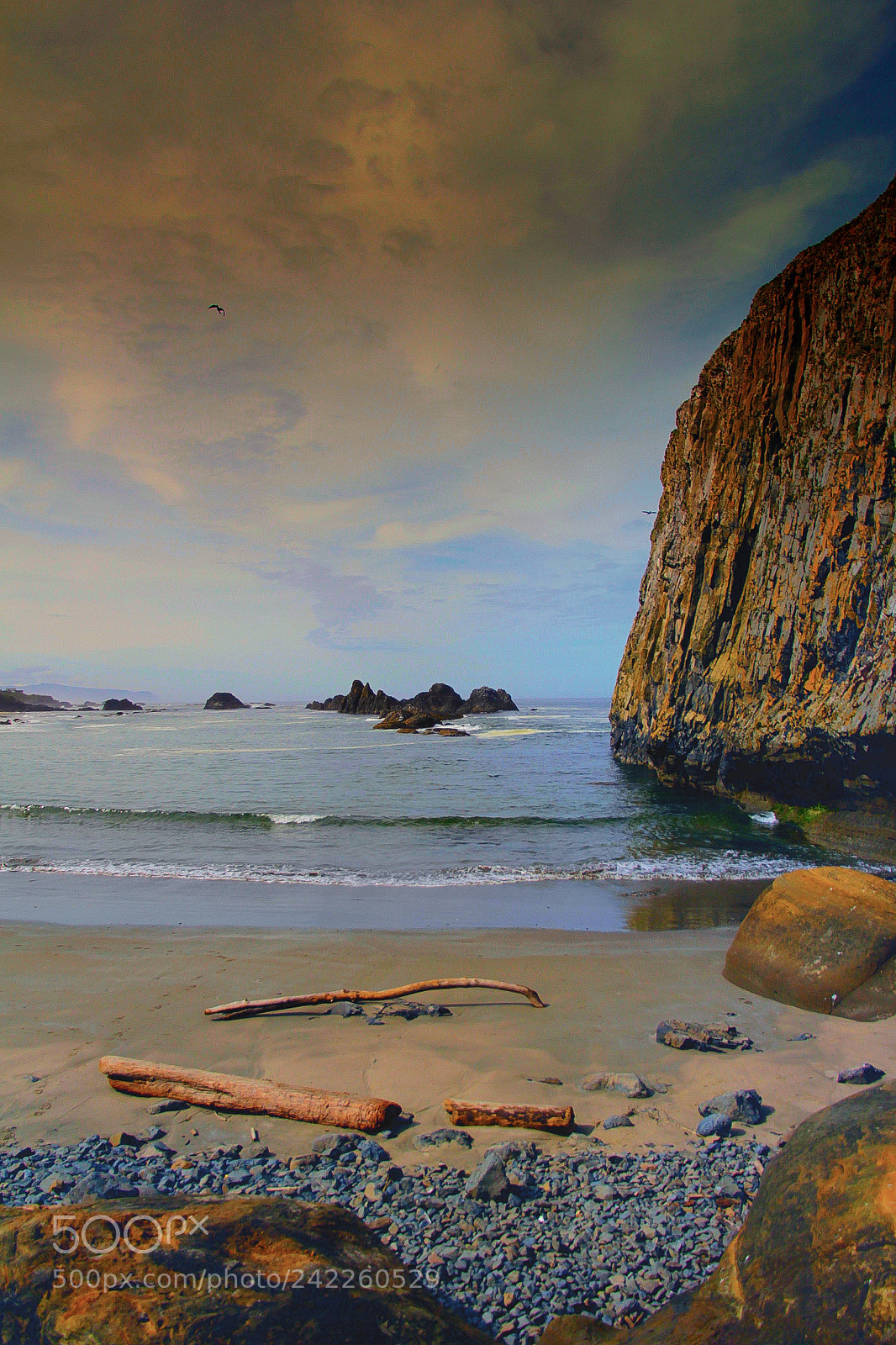 Canon EOS 60D sample photo. Oregon coast 2015 photography