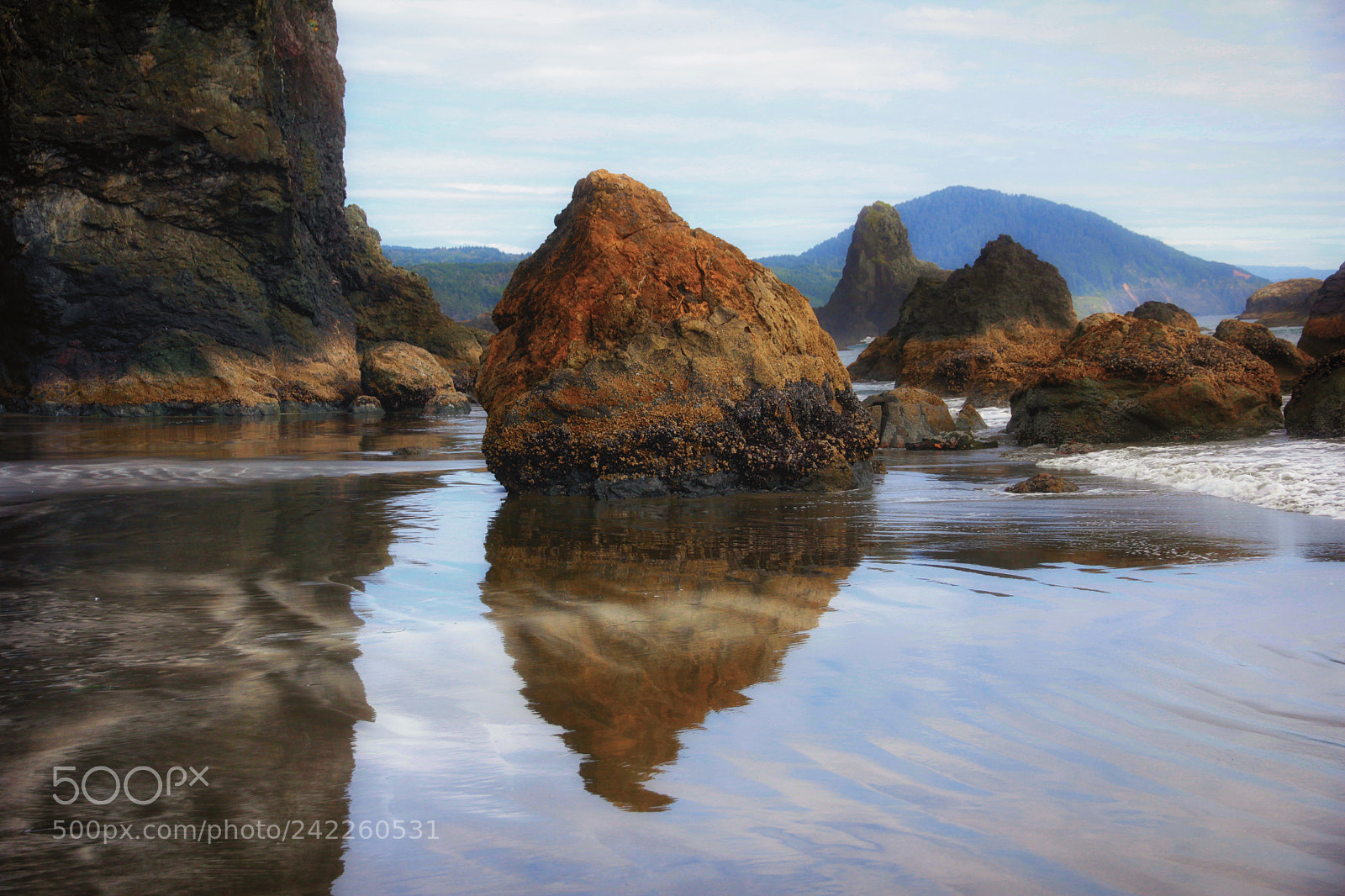 Canon EOS 60D sample photo. Oregon coast photography