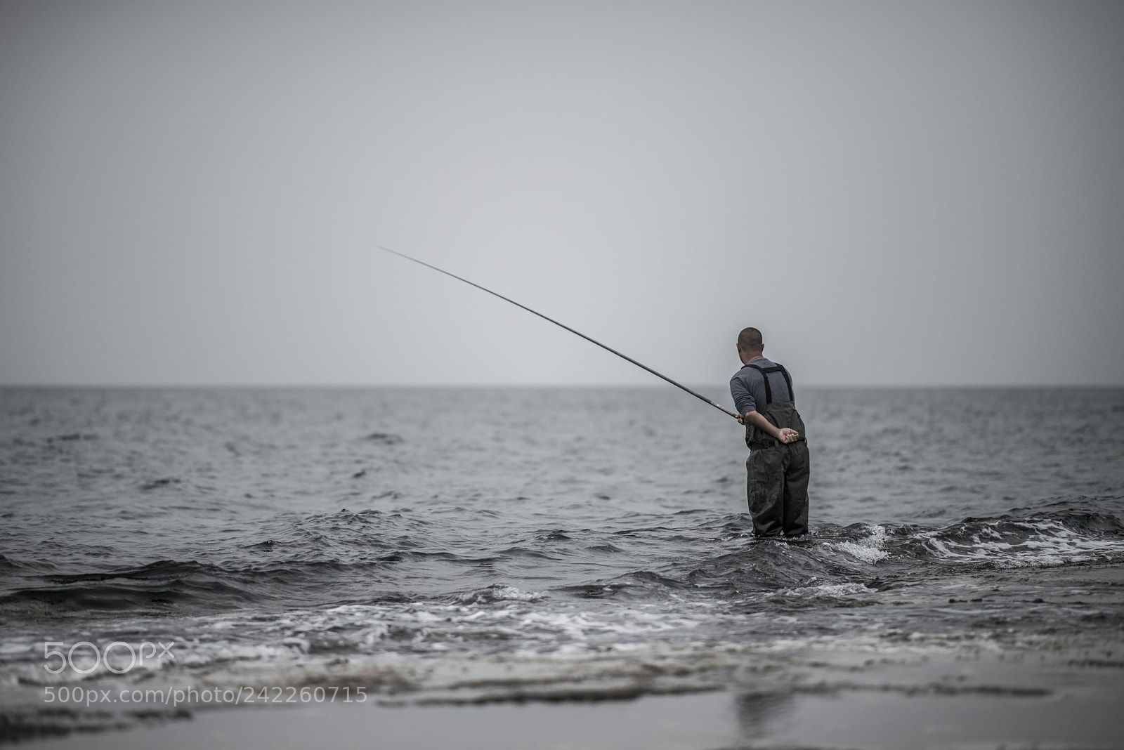 Nikon D810 sample photo. Calm photography