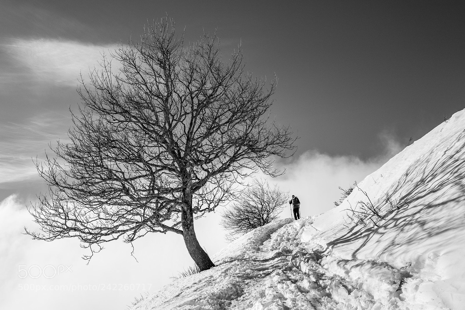 Leica Q (Typ 116) sample photo. Walking in the snow photography