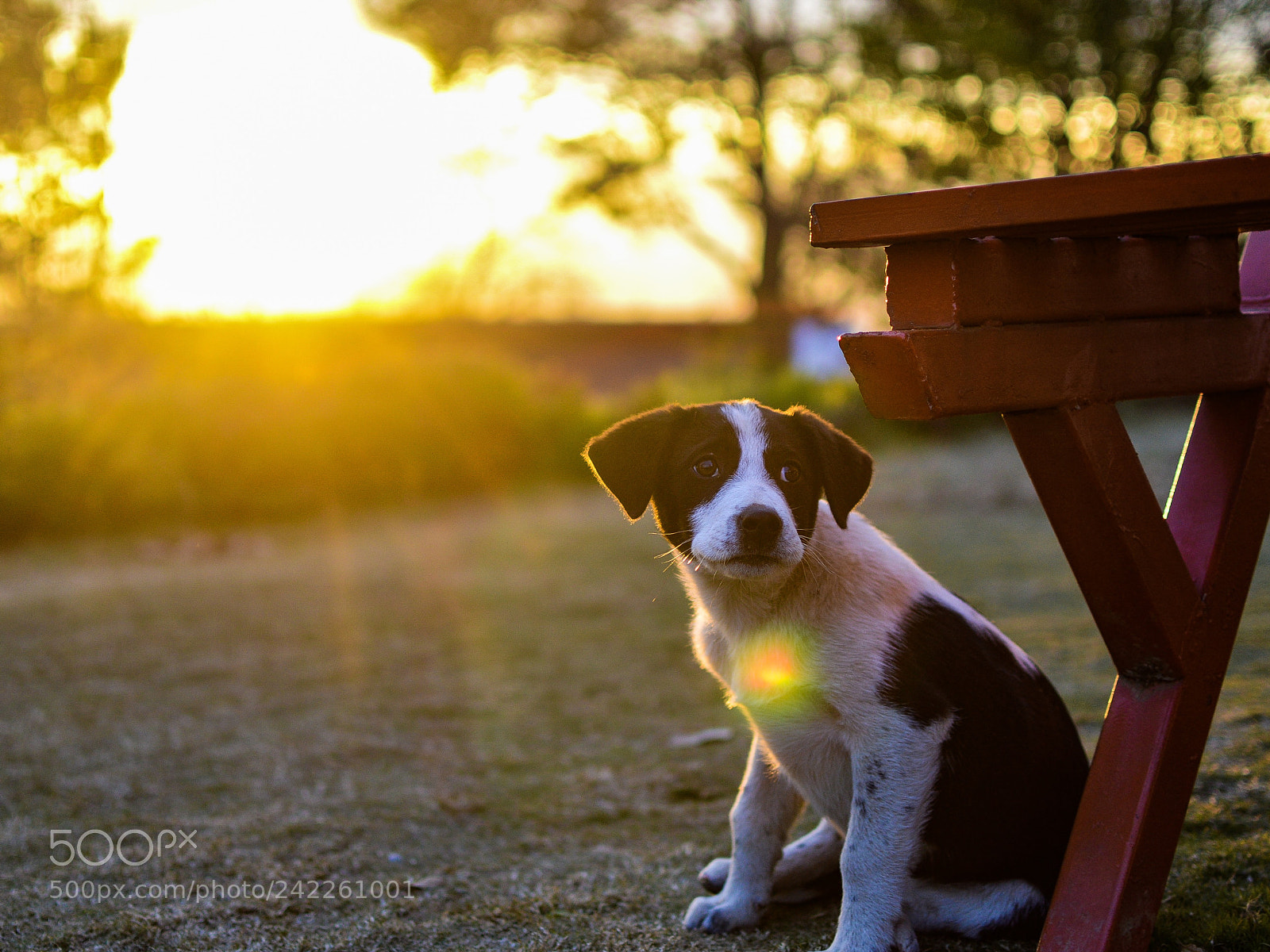Nikon D3200 sample photo. Untitled photography