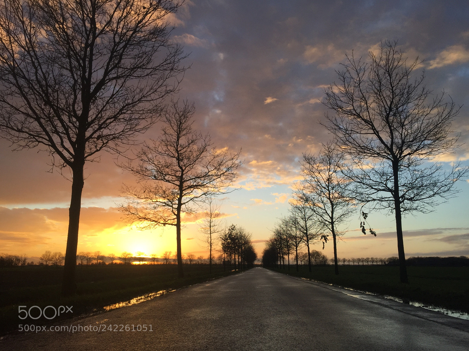Apple iPhone 6 sample photo. Road to the sun ?? photography
