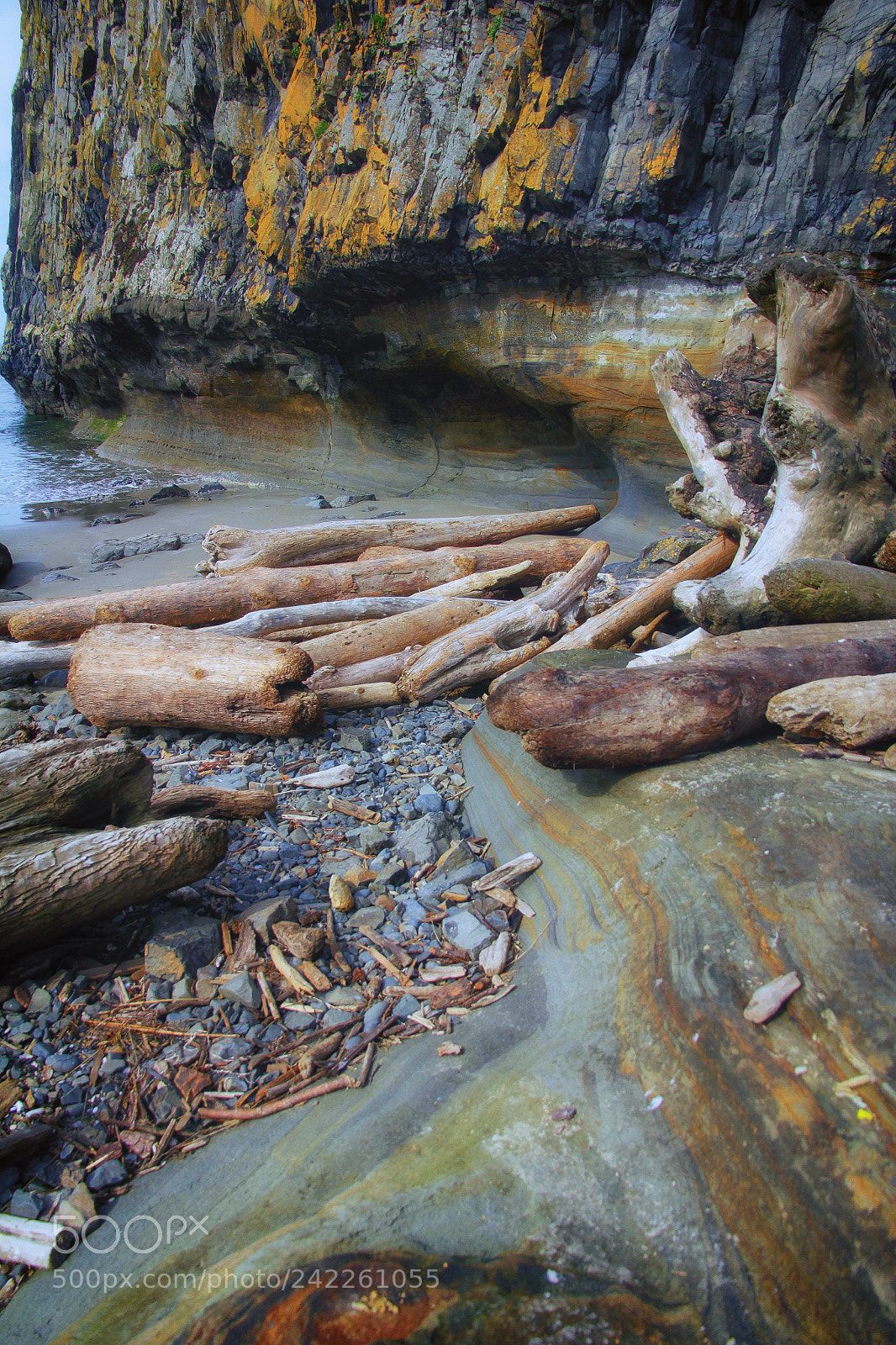 Canon EOS 60D sample photo. Oregon coast photography