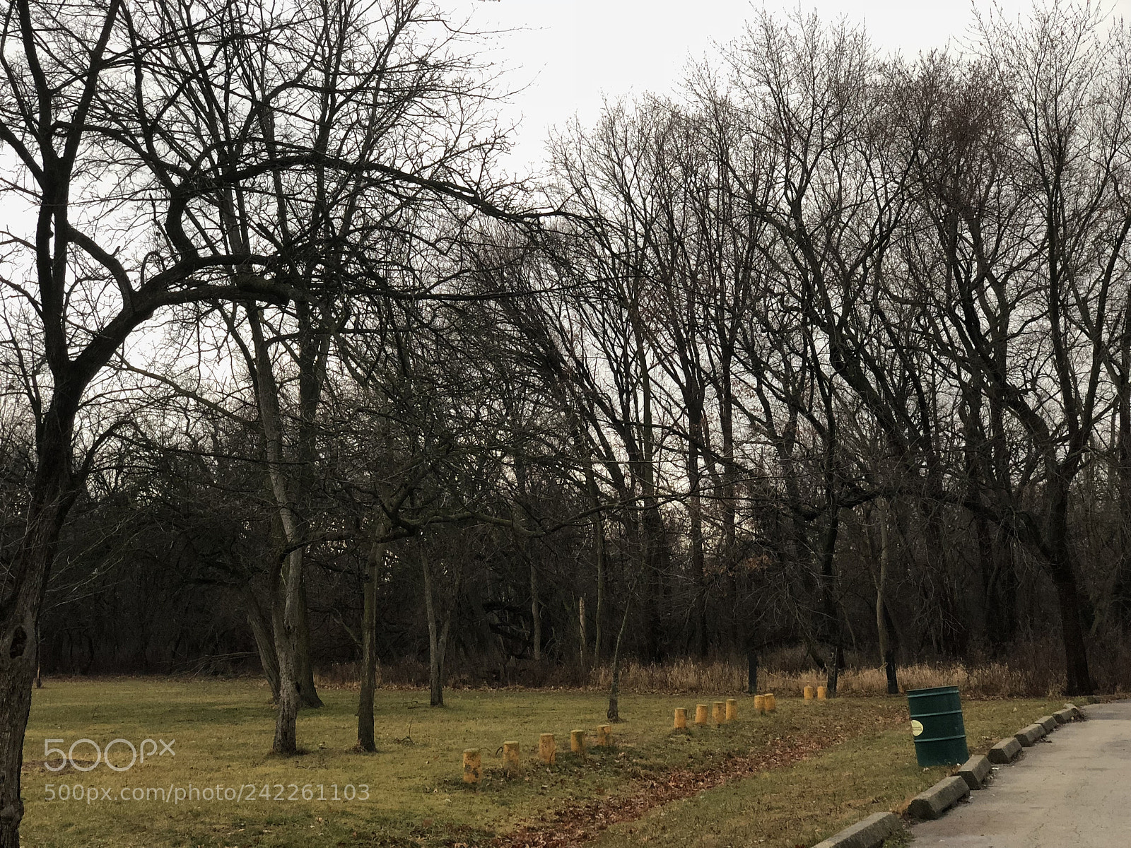 Apple iPhone X sample photo. Untitled photography