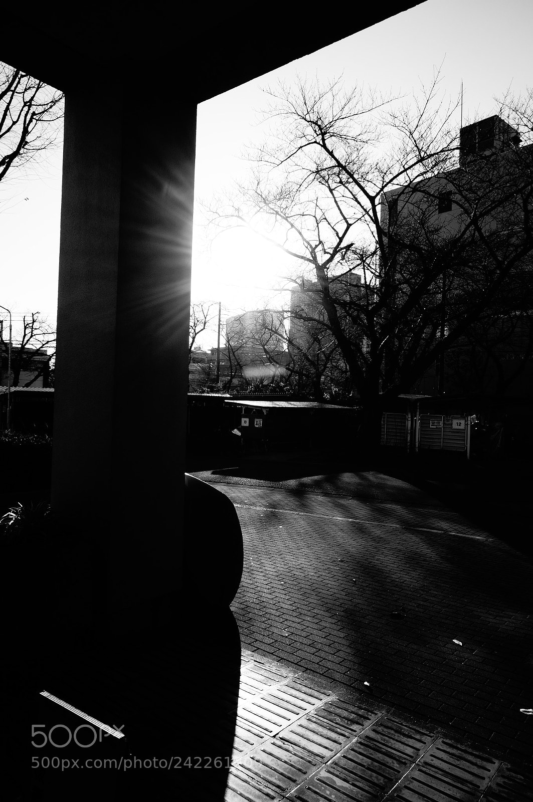 Sony Alpha NEX-5T sample photo. View photography