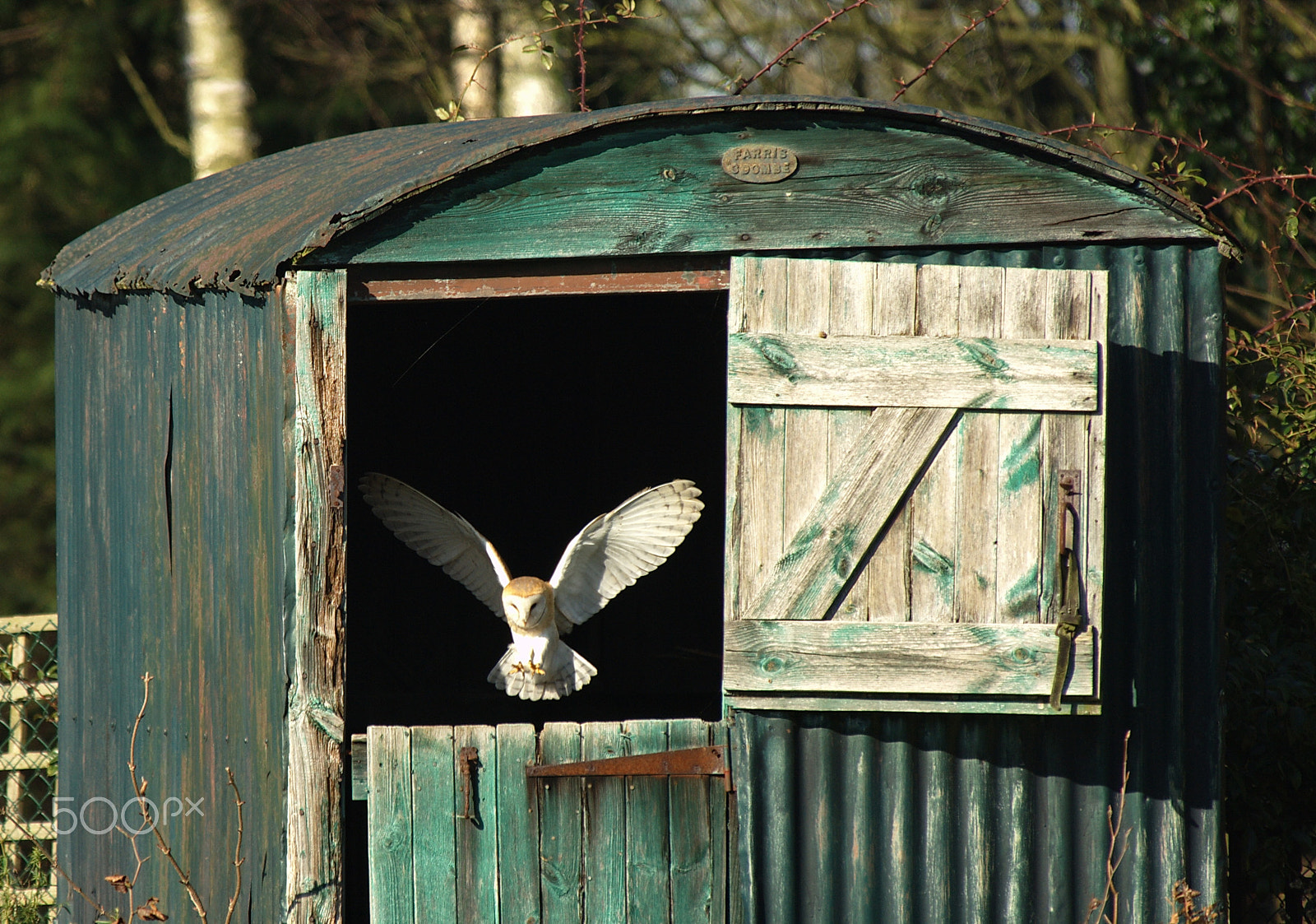 Nikon D2Xs sample photo. Shepards hut owl photography