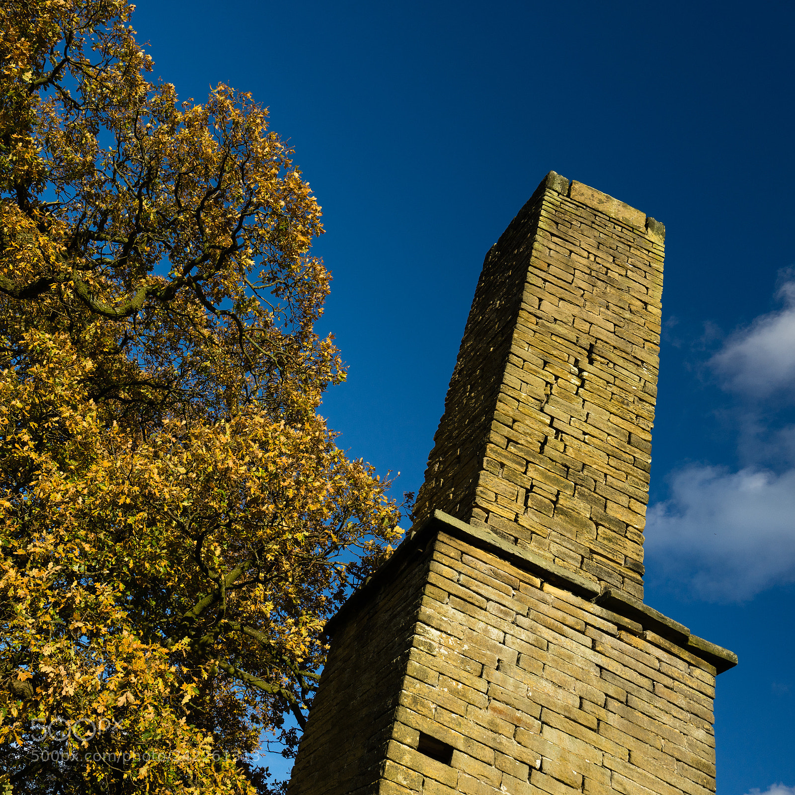 Sony a7R sample photo. Take the lead, harden photography