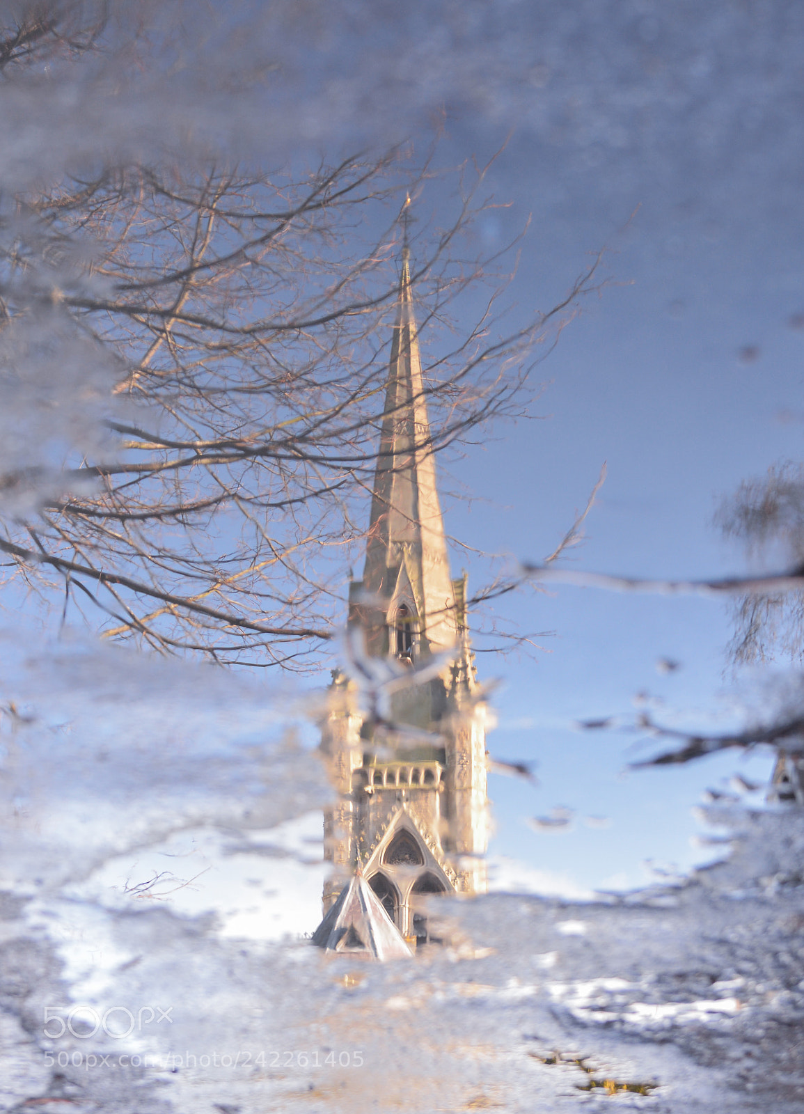 Nikon D7100 sample photo. Puddle reflection photography