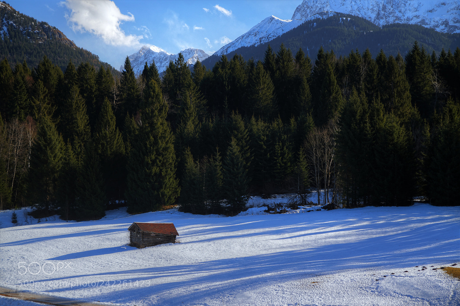 Sony ILCA-77M2 sample photo. The old barn photography
