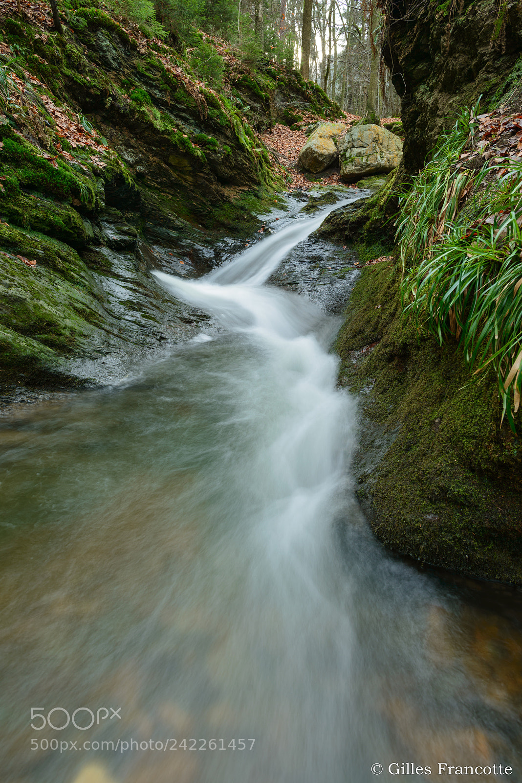 Nikon D800 sample photo. Furious torrent. photography