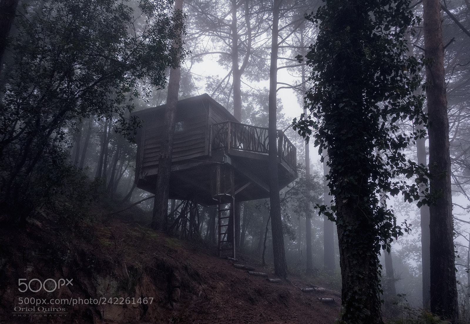 Nikon D7100 sample photo. Cabanas las arbres photography