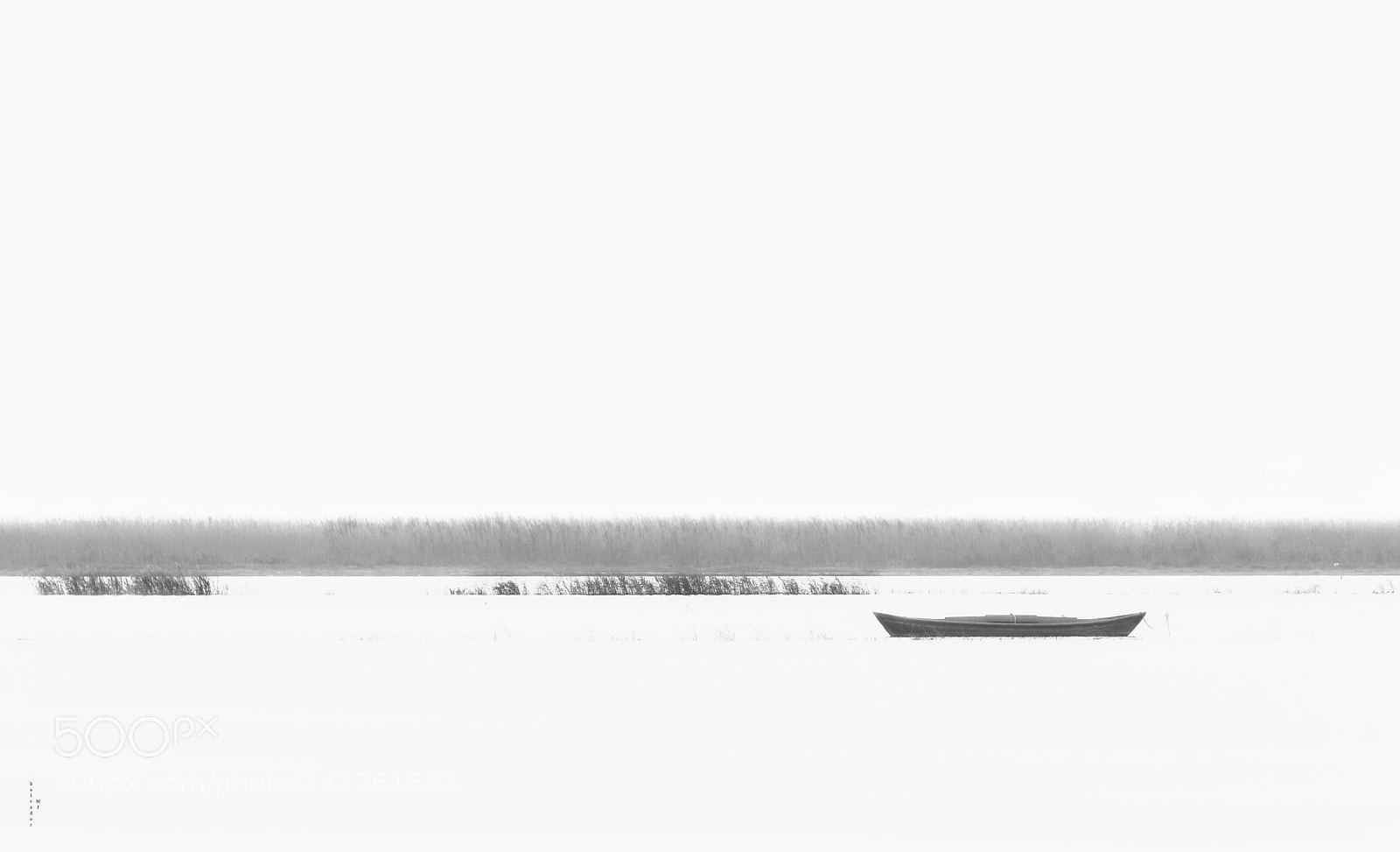 Nikon D7100 sample photo. Isolation photography