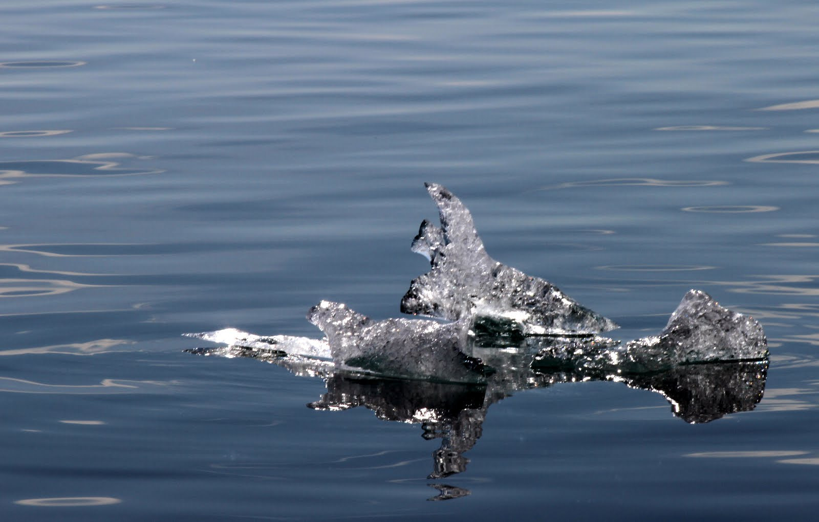 Canon EF 70-300mm F4-5.6 IS USM sample photo. Jökulsárlón photography