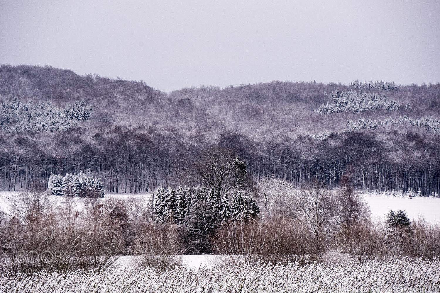Panasonic Lumix DMC-GM1 sample photo. Winterly hills photography