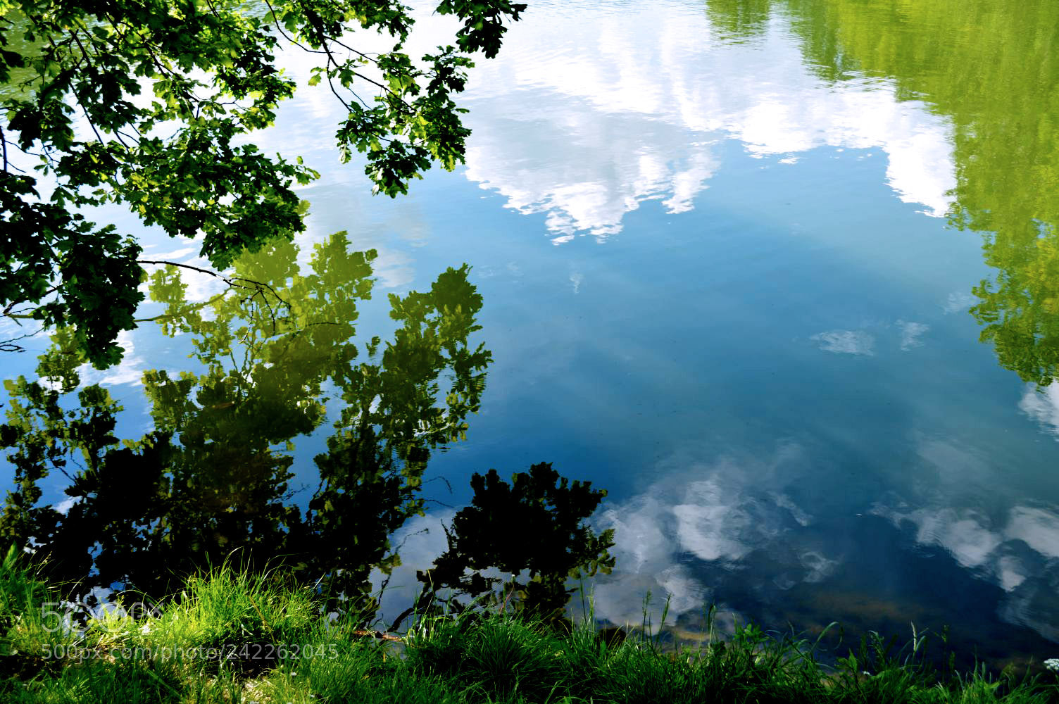 Nikon D3200 sample photo. Reflection photography