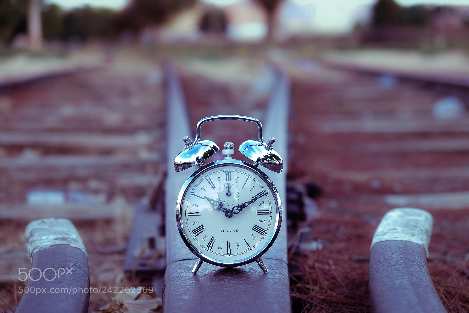 Fujifilm X-T1 sample photo. Temps photography