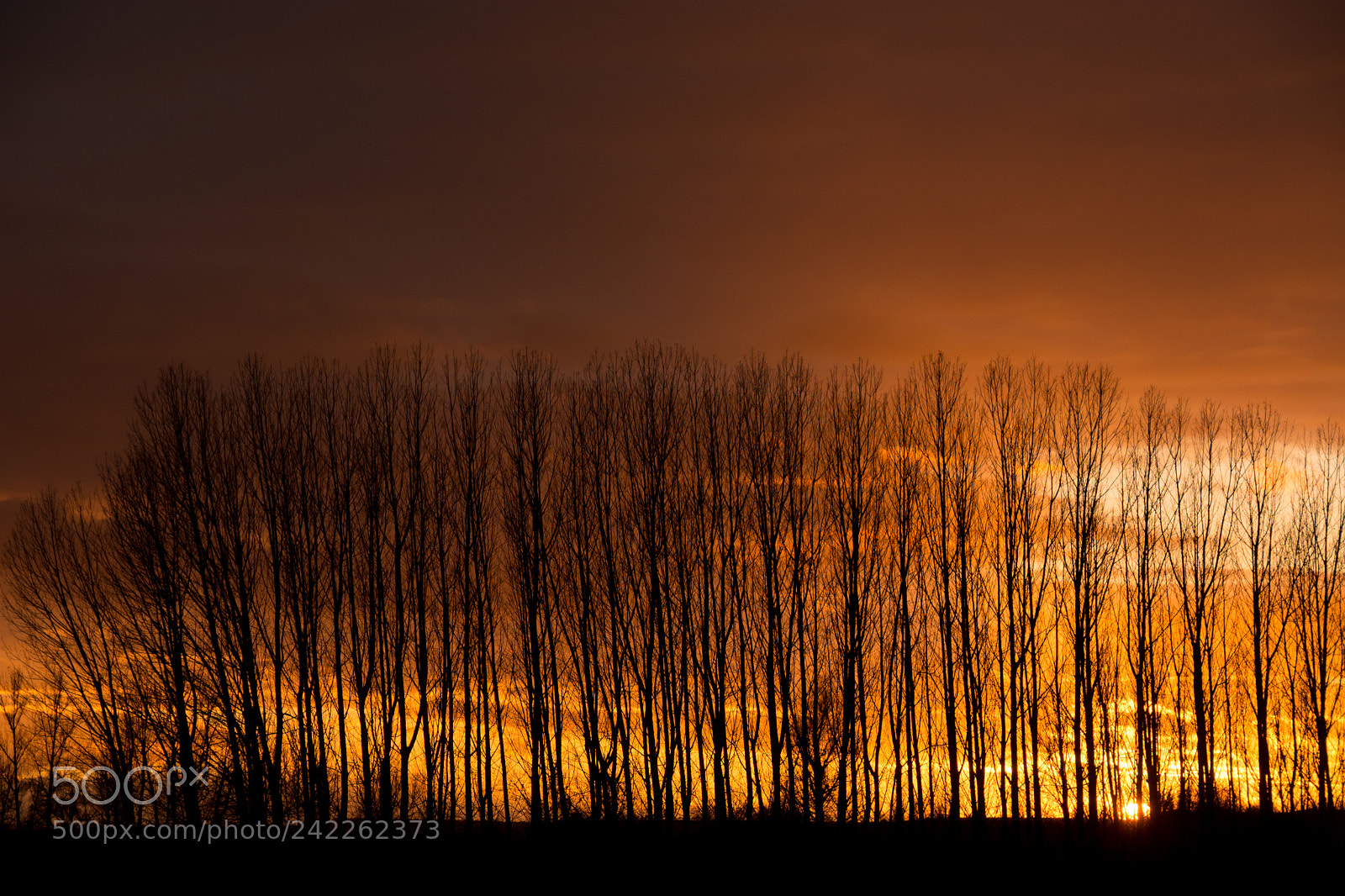 Nikon D7100 sample photo. Sunset photography