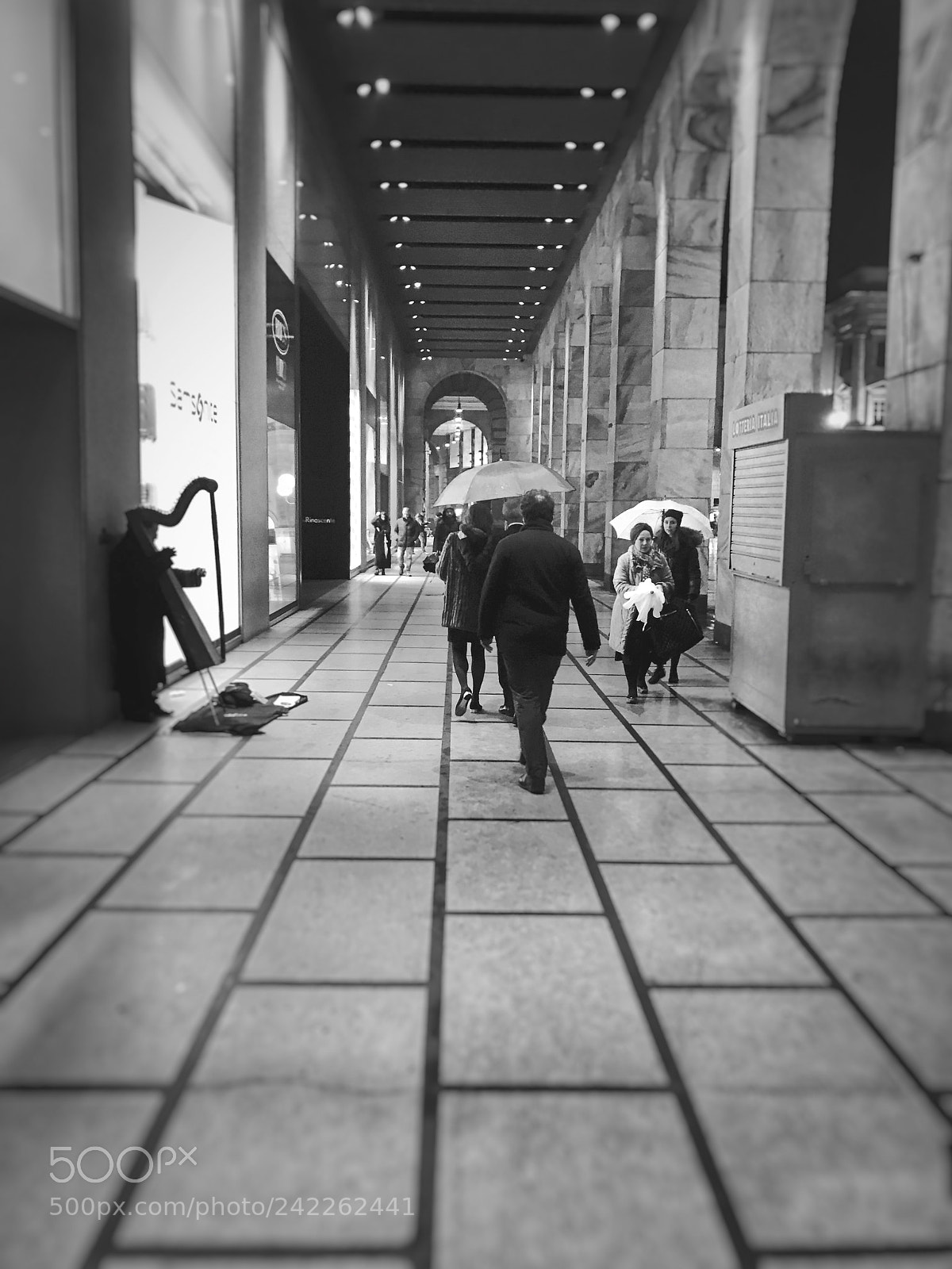 Apple iPhone 7 sample photo. Untitled photography