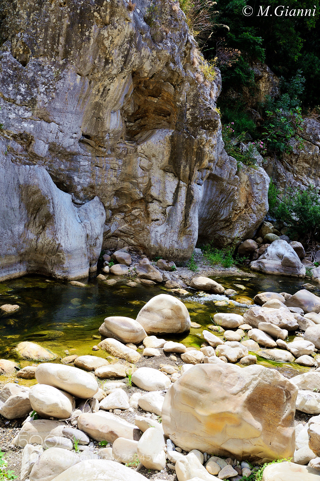 Nikon D3100 sample photo. Sicilian wild photography