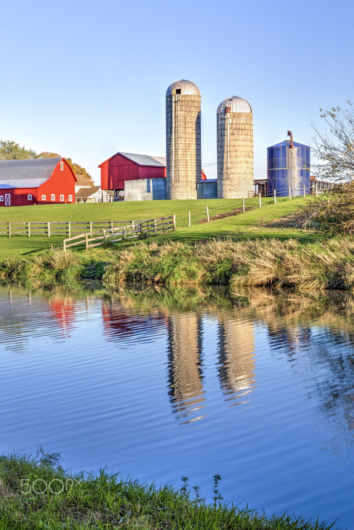 First Light Farm Reflections