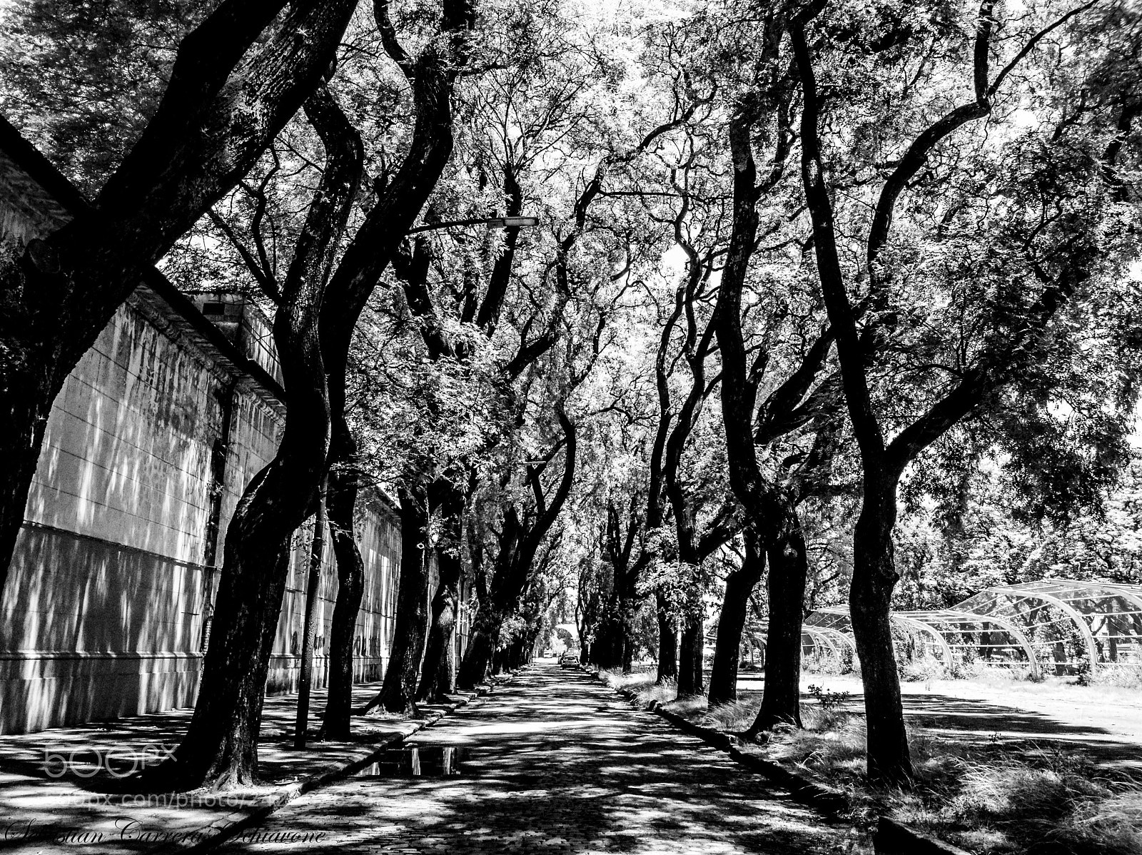 HUAWEI P9 sample photo. Callecitas de chacarita photography