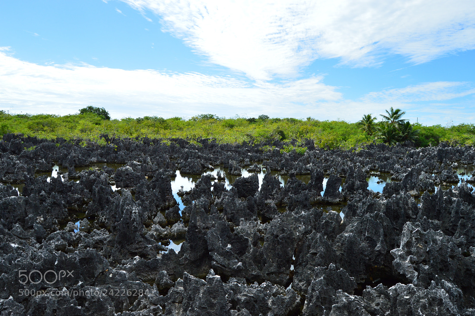 Nikon D3200 sample photo. Hot as hell photography