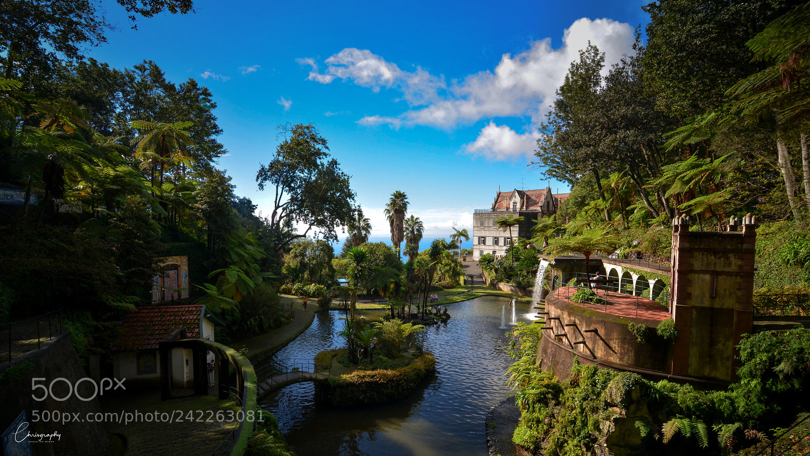 Nikon D7100 sample photo. Monte palace tropical garden photography