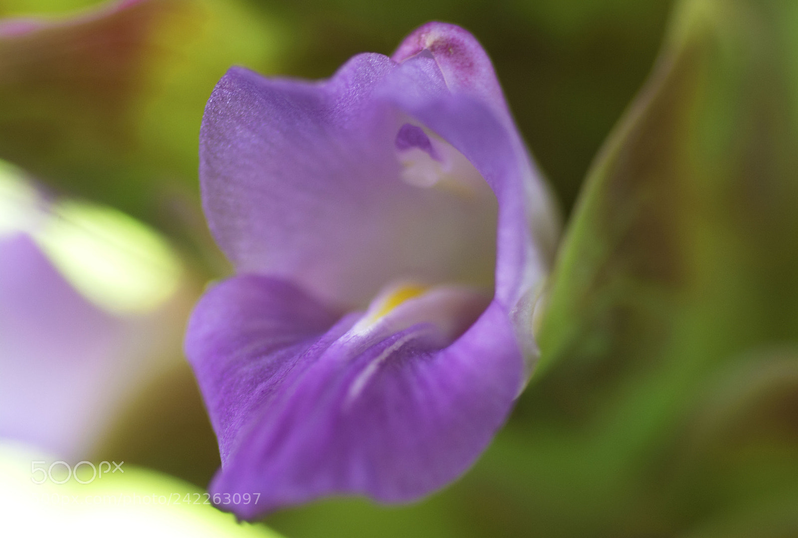 Nikon D7100 sample photo. Life photography