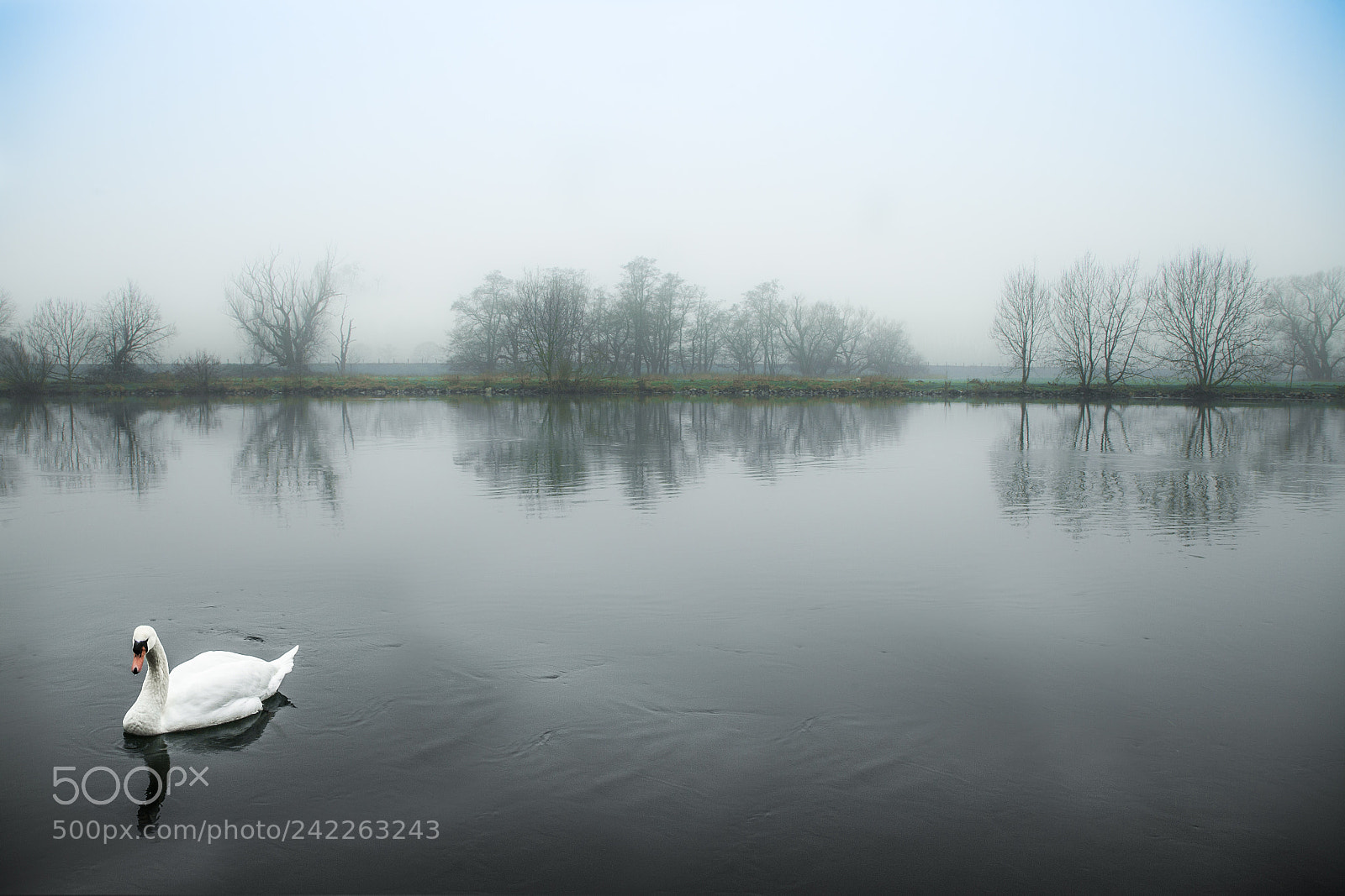 Canon EOS-1Ds Mark II sample photo. Foggy morning at river photography