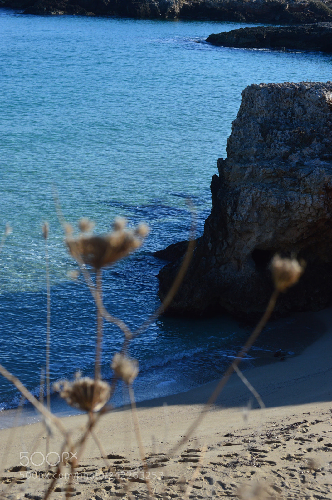Nikon D3200 sample photo. Dsc photography