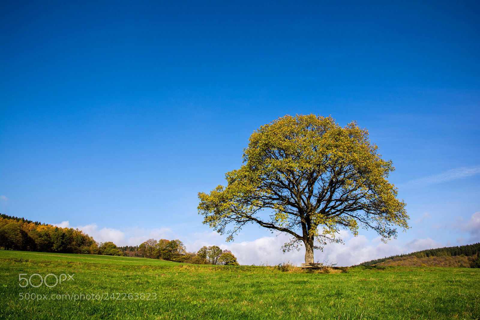 Nikon D7100 sample photo. What matters photography