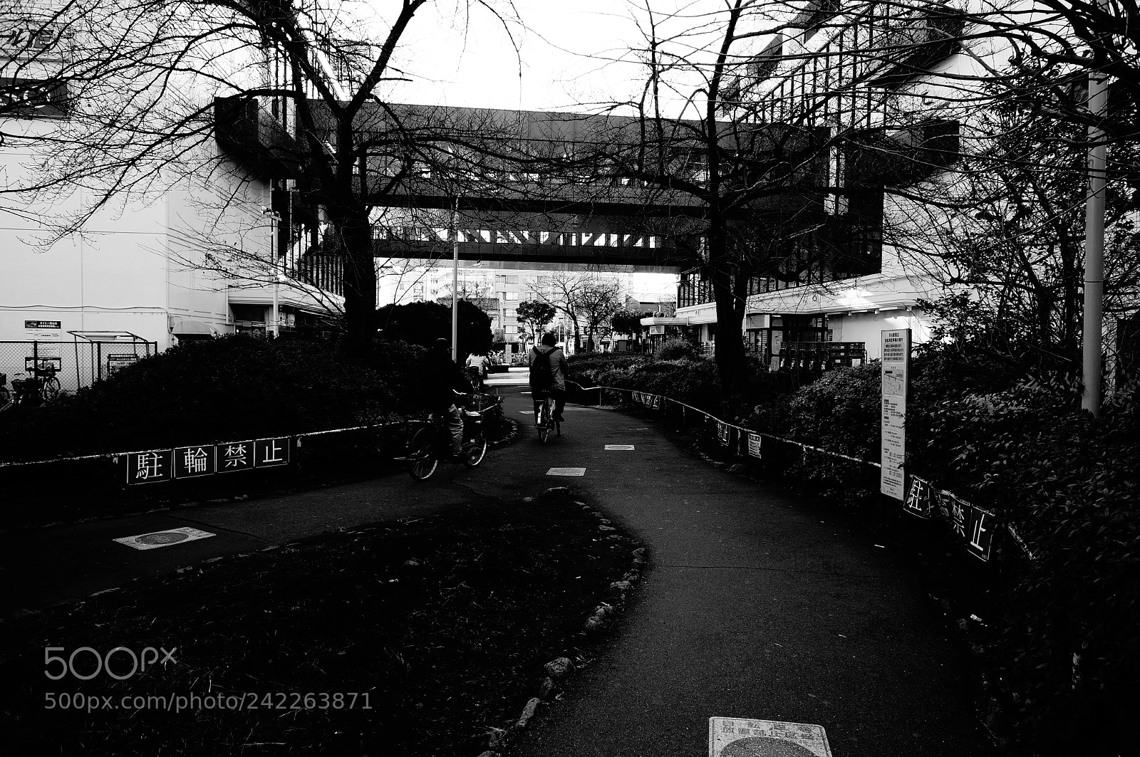 Sony Alpha NEX-5T sample photo. Street photography