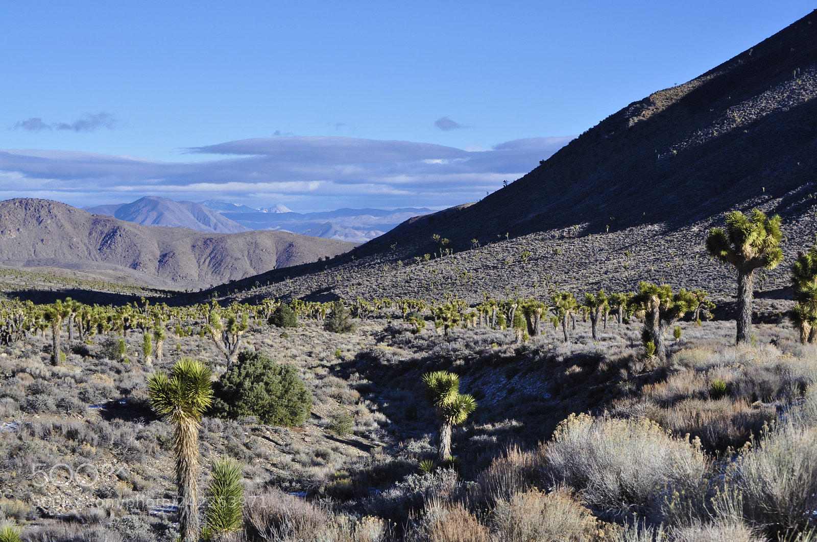 Nikon D5000 sample photo. Death valley photography