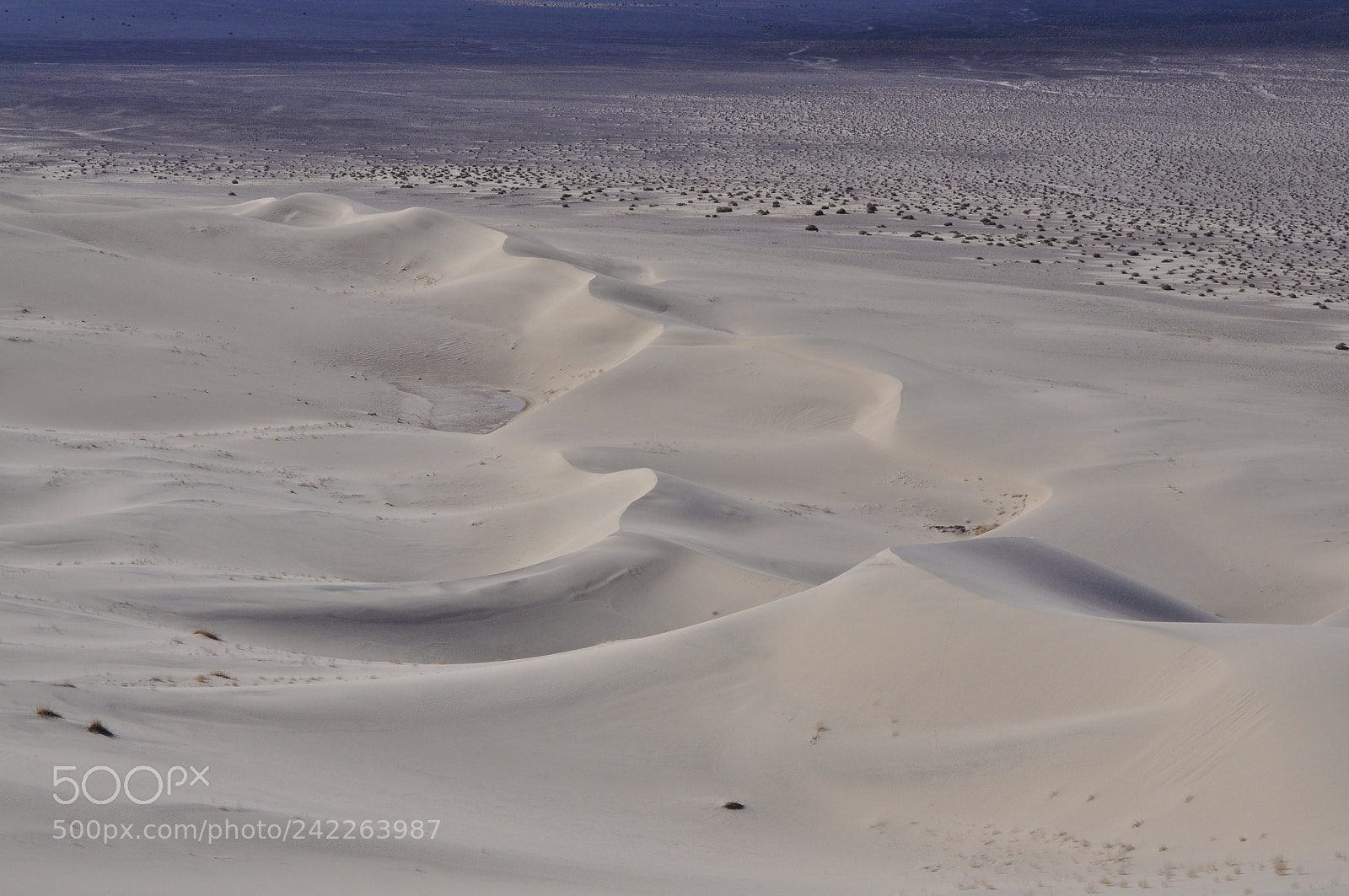 Nikon D5000 sample photo. Death valley photography