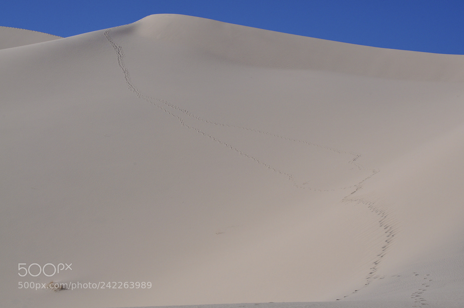 Nikon D5000 sample photo. Death valley photography