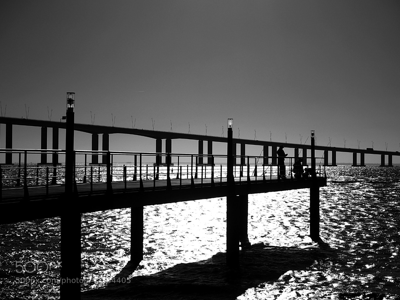 Olympus OM-D E-M10 II sample photo. # photography