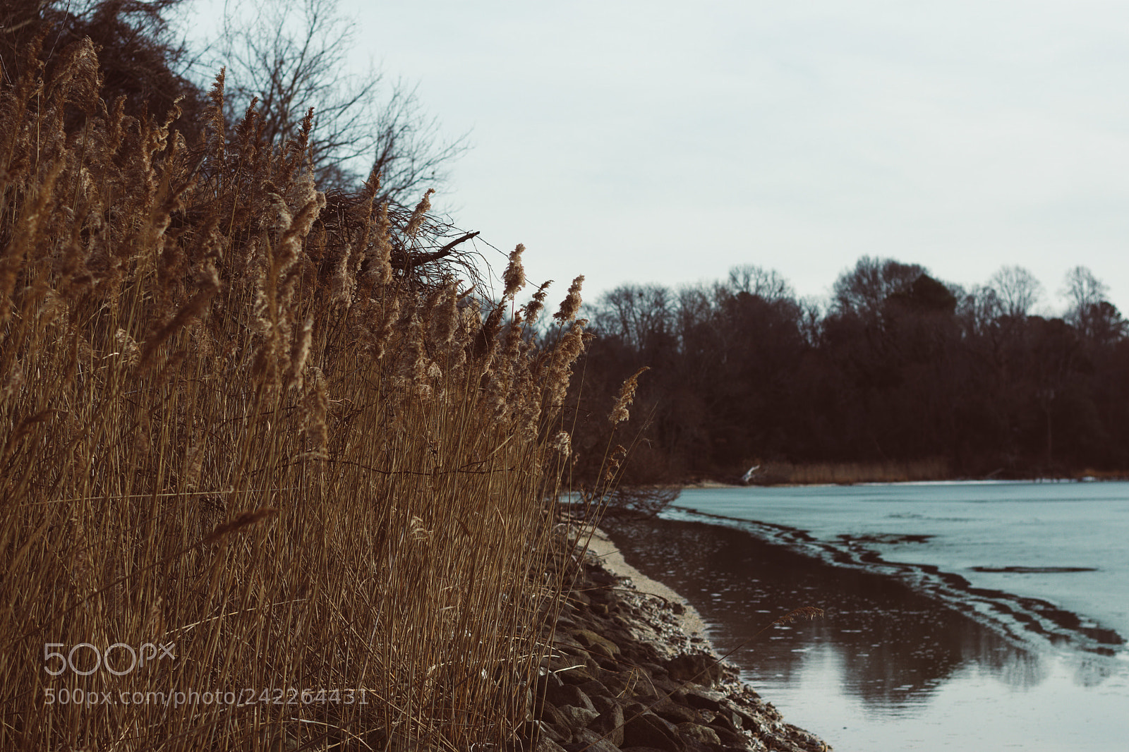 Nikon D3400 sample photo. Halfway frozen lake makes photography