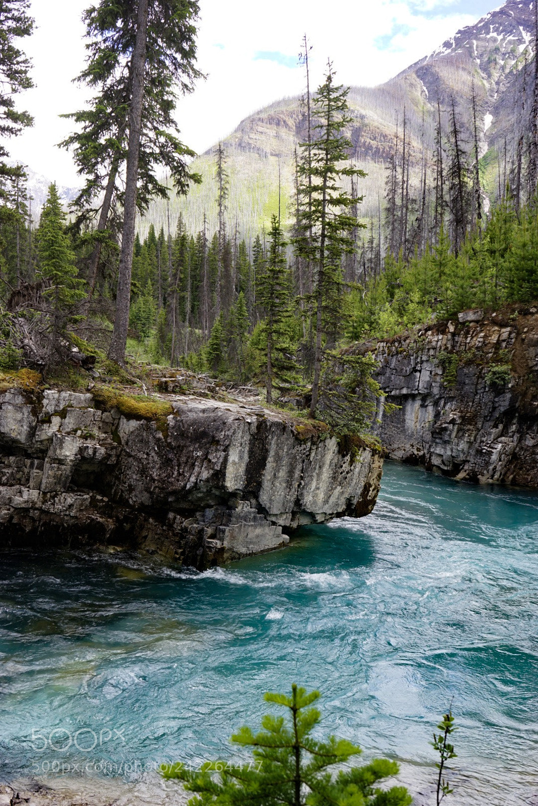 Sony a7 II sample photo. Kootenay n.p marble canyon photography