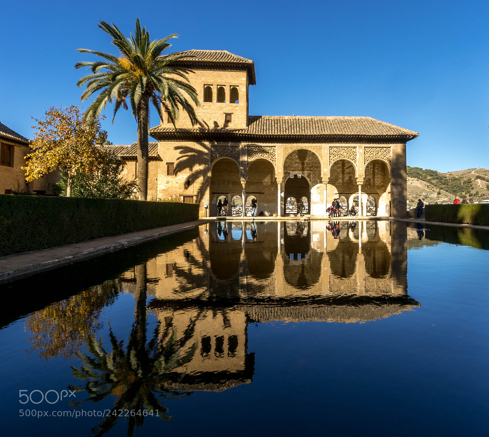 Sony a7S II sample photo. Allhumbra reflections photography