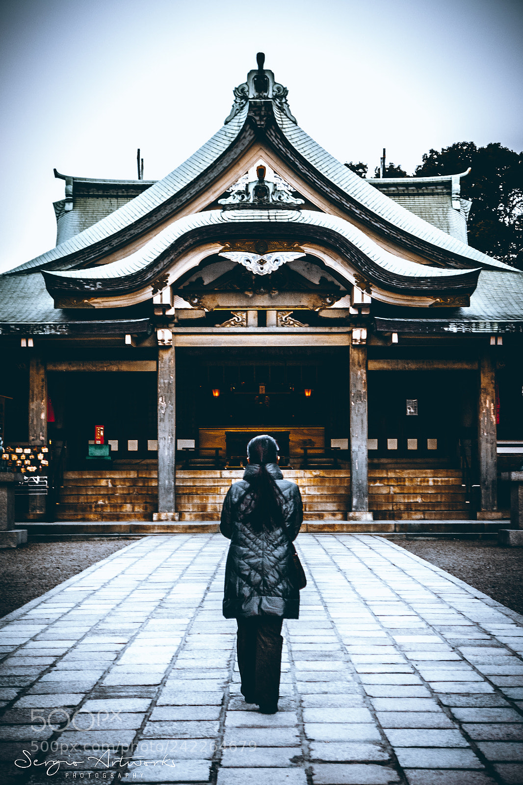 Sony Cyber-shot DSC-RX100 sample photo. Hokoku shrine, osaka photography