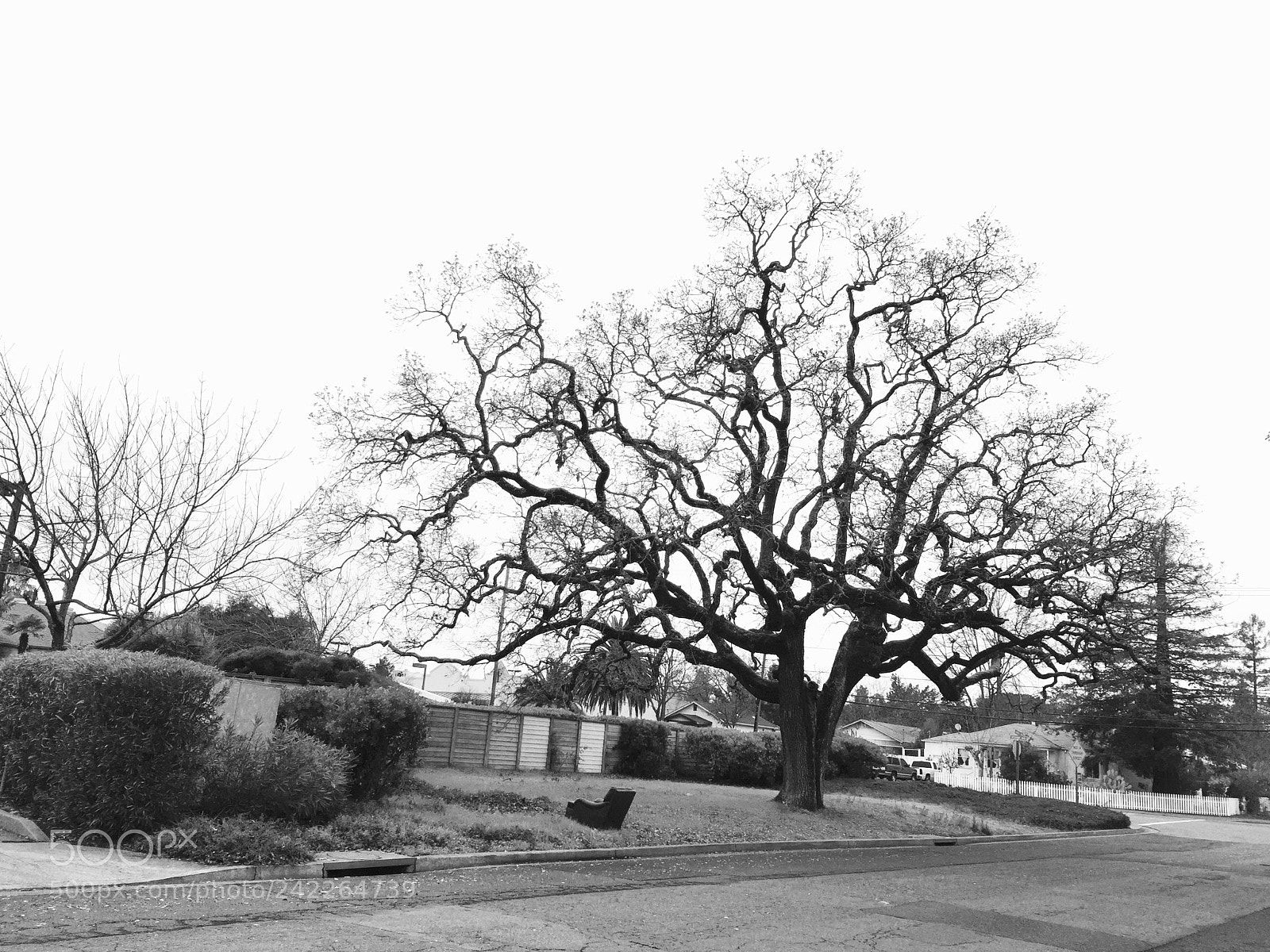 Apple iPhone 6 sample photo. Abandoned photography