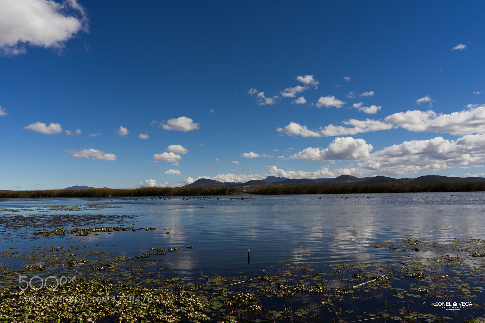 Sony a7 II sample photo. Sony sonyalpha sonya7ii 28mmf28 photography