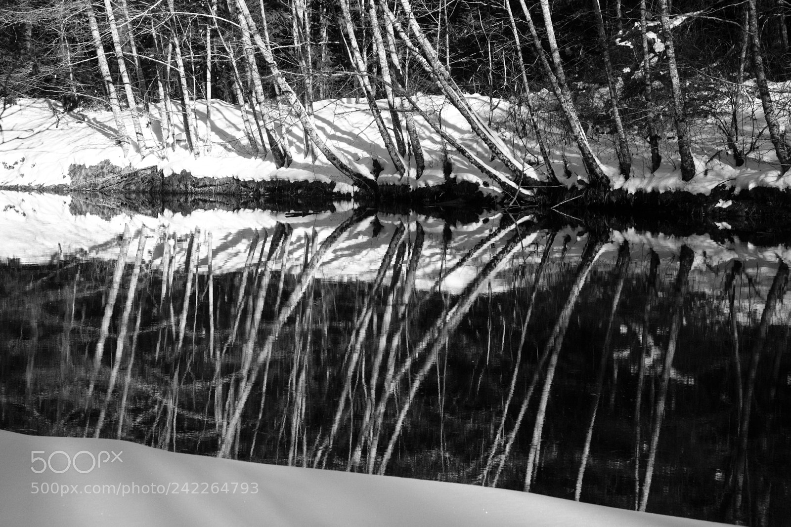 Fujifilm X-Pro2 sample photo. Pond reflection, paradise valley photography