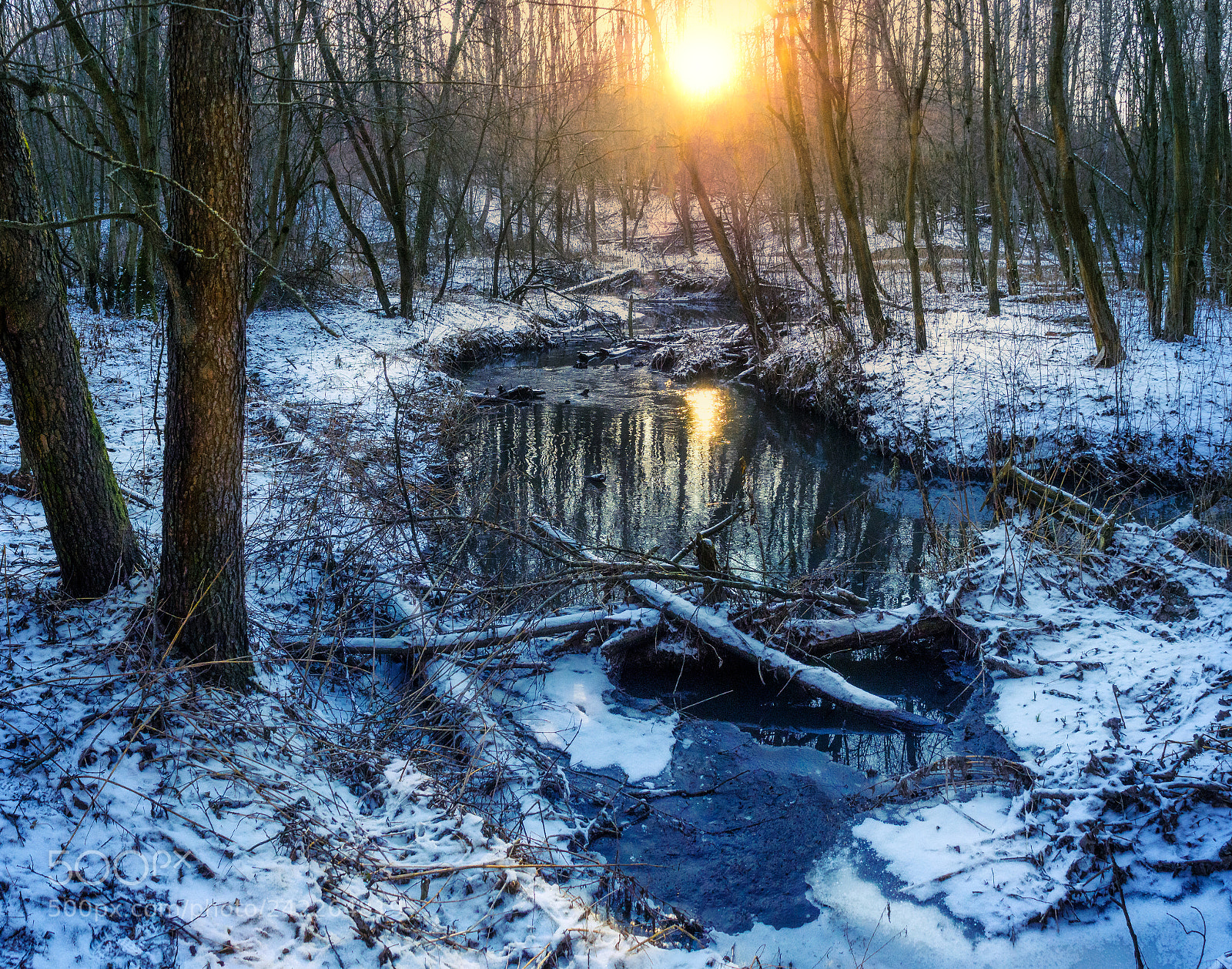 Olympus OM-D E-M10 sample photo. Winter frosty sunset in photography