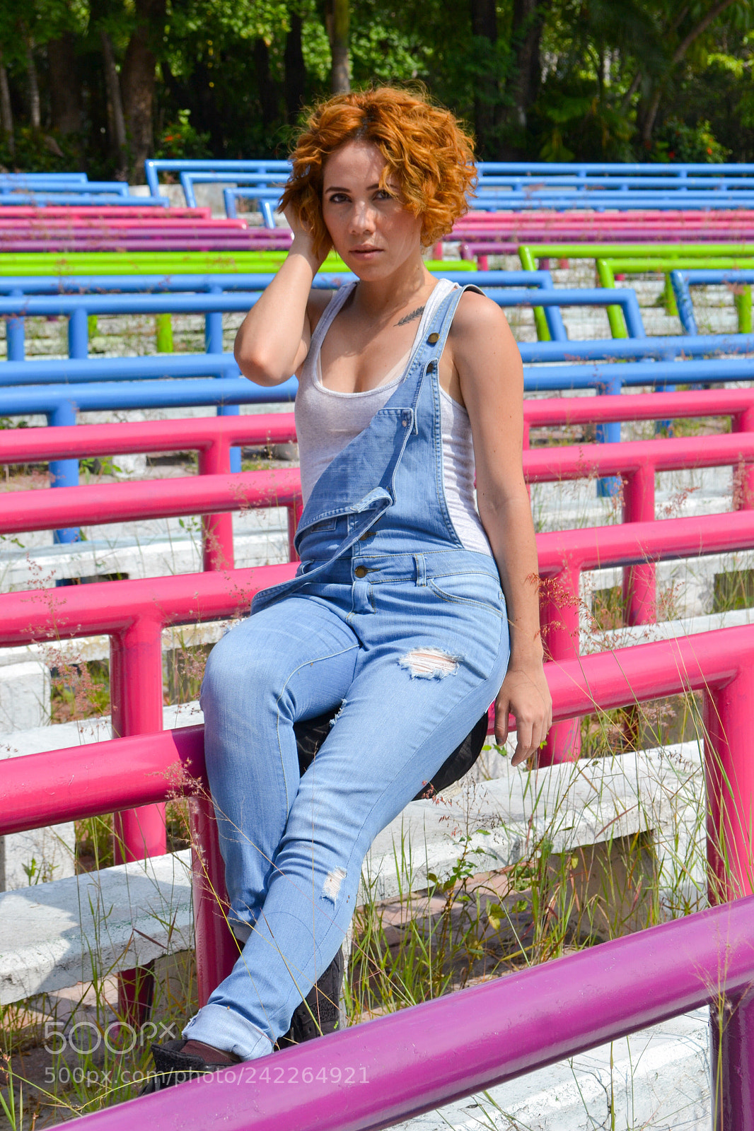 Nikon D3100 sample photo. Untitled photography