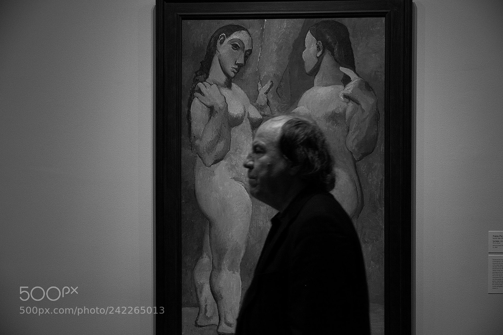 Fujifilm X-E2S sample photo. The intruder photography