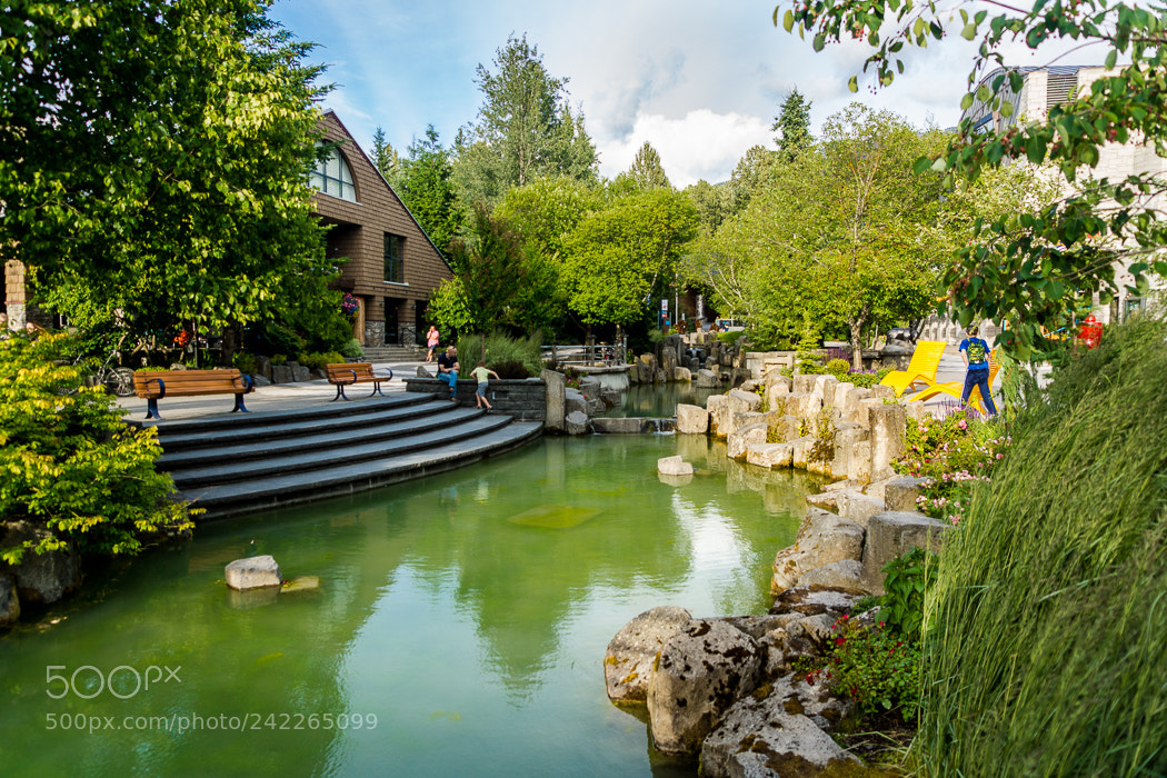 Sony SLT-A65 (SLT-A65V) sample photo. Whistler, 3. photography