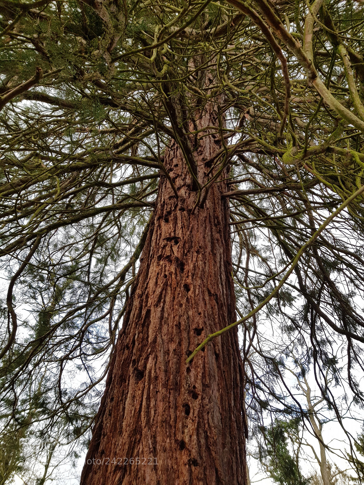 Samsung Galaxy S8 sample photo. Untitled photography